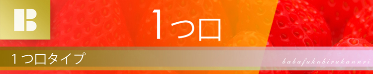 ブロアー 1つ口取り付け方