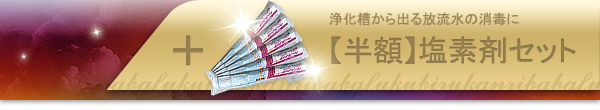 【半額】塩素剤付き