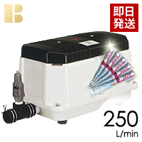 安永LW-250N/単相/塩素剤付き